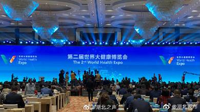 1605521050631176.jpg 展覽會