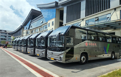 1731374898477851.jpg 1.jpg