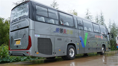 1731374977589308.jpg 7.jpg