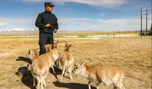 1611910533165494.jpg 微信圖片_20210129163949.jpg