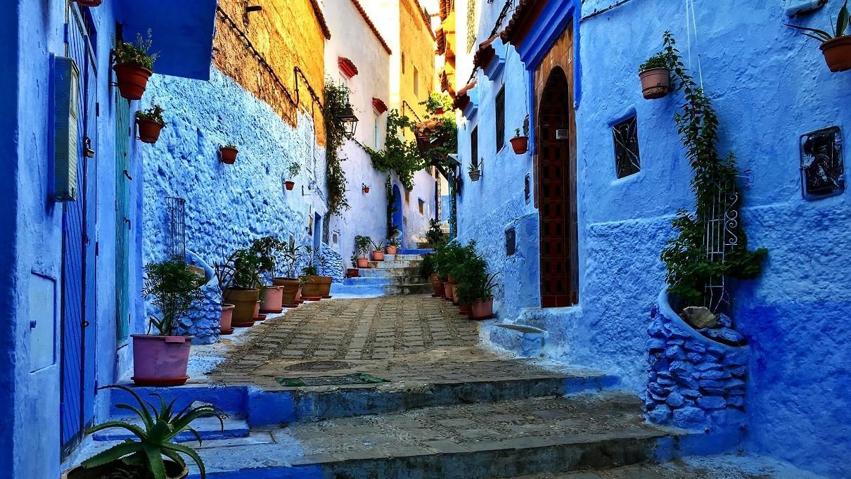 1612940021843327.jpg clip_image002.jpg