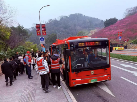 1741912816258205.png wps1.png