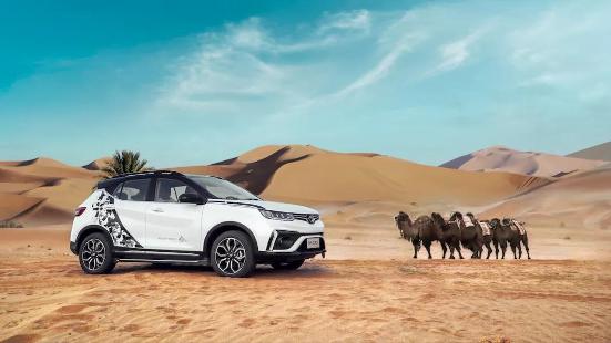 1625813552951361.jpg 1625813552951361.jpg