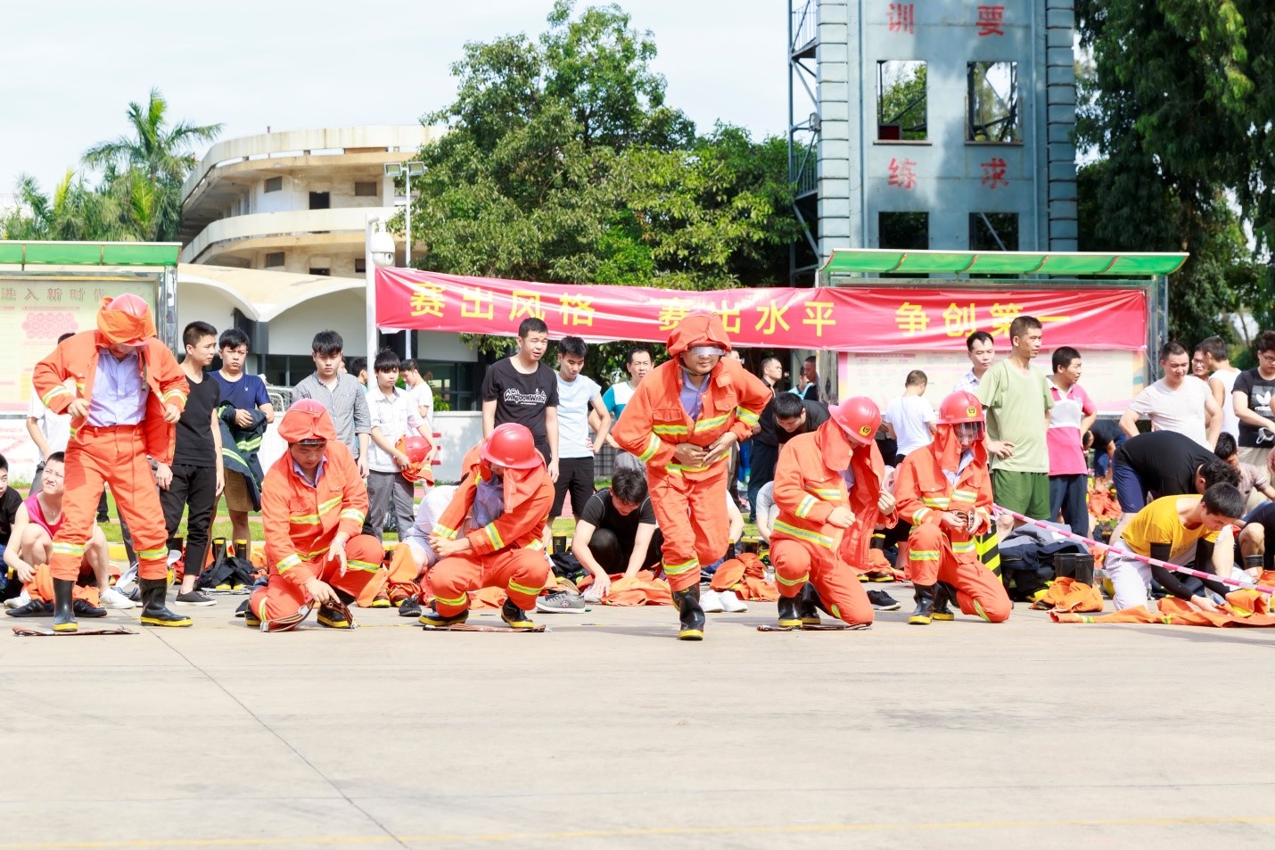 1561946183188545.jpg 2.jpg