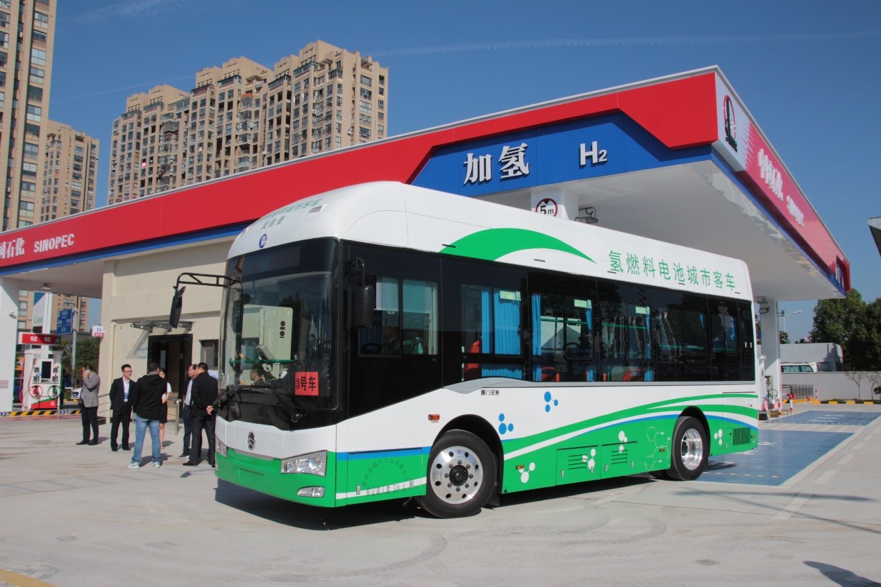 1571879573158156.jpg 2.jpg