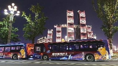 1735092223164484.jpg 重慶公交天花板.jpg