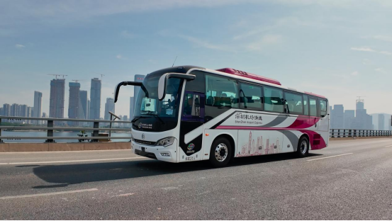 1737617065913099.png wps21.png