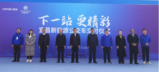 1736909252536793.png wps5.png