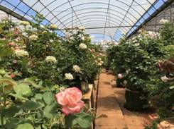 1592786252479865.jpg 玉溪通海1