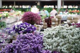 1592786186168769.jpg 微信圖片_20200615165322