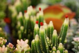 1592786230739414.jpg 微信圖片_20200615165402