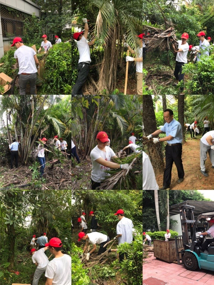 1559631550849013.jpg 5.jpg