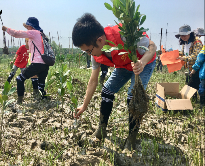 1559631535574528.png 4.png