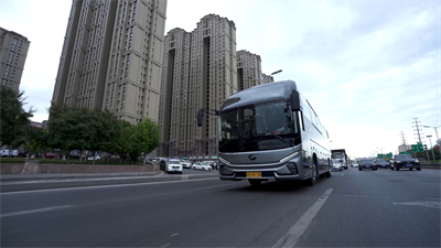 1724742847812309.jpg 5.jpg