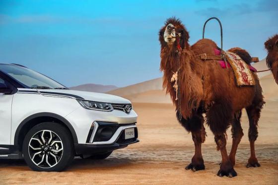 1629250707959025.jpg 微信圖片_20210818093214.jpg