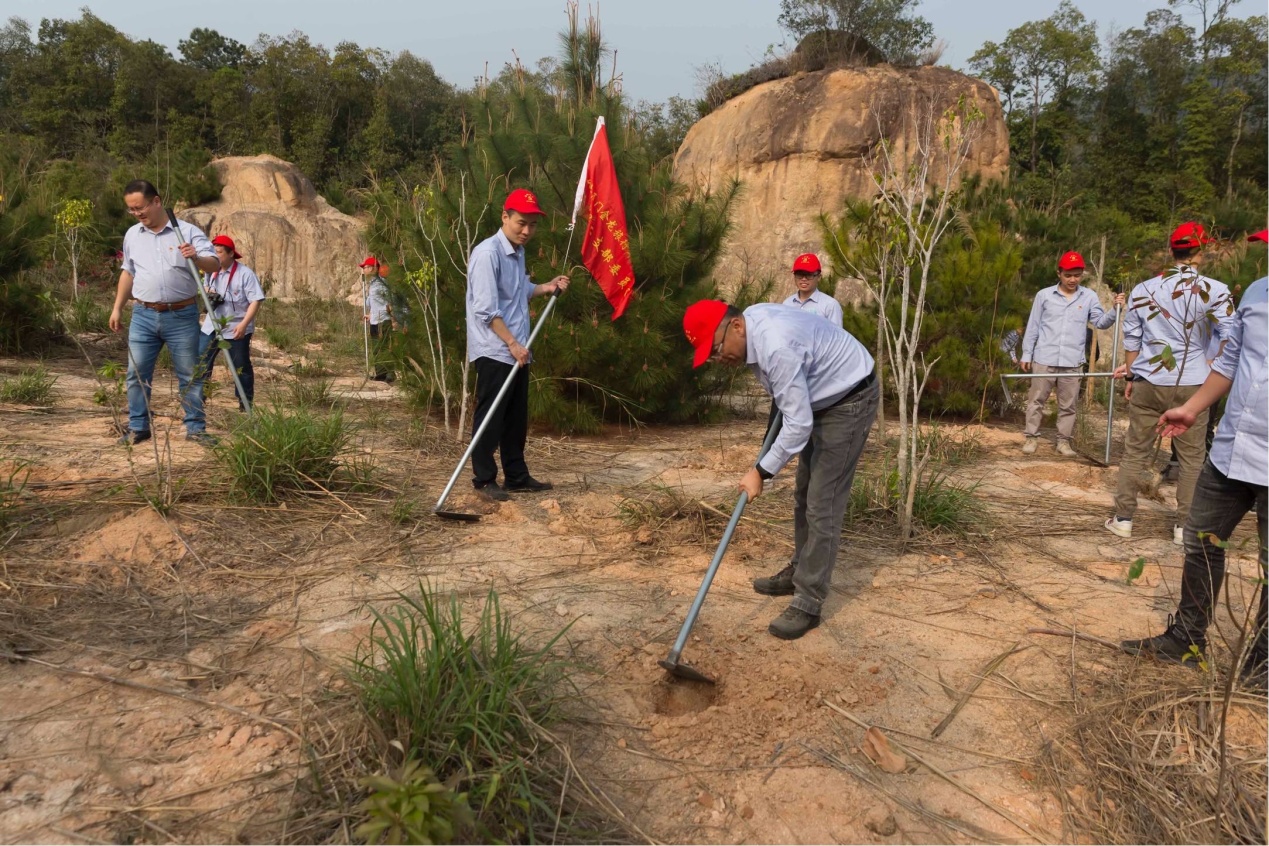 1616061212554346.jpg 1616061212554346.jpg