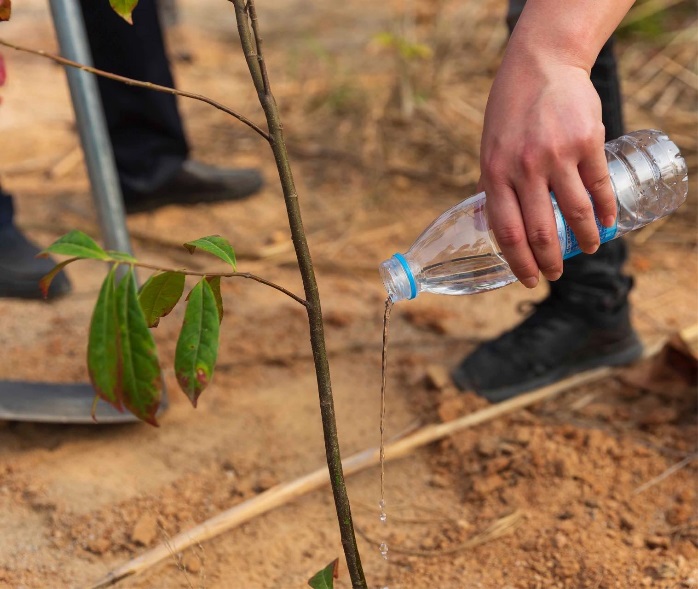 1616061242346216.jpg 1616061242346216.jpg