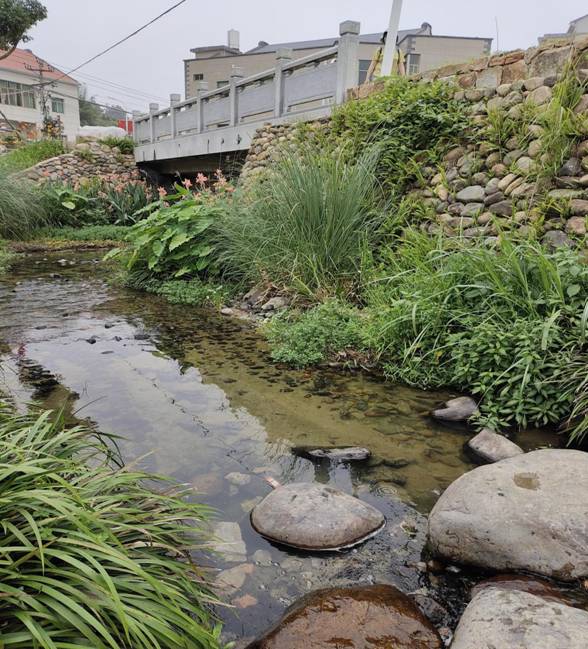 1623381888951826.jpg 治理后清澈的九龍溪