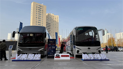 1731564208408311.jpg 1.jpg