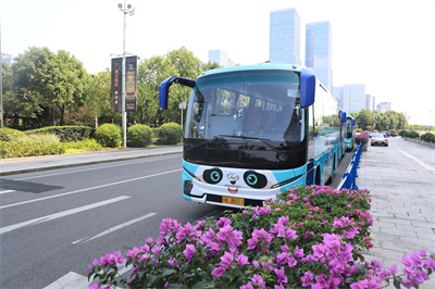 1730447031226214.jpg 1.jpg