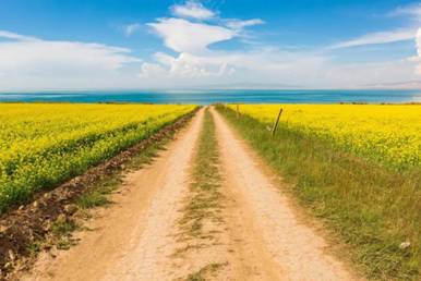 1596875862775294.jpg 微信圖片_20200729112834