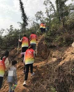 1585532866369724.jpg IMG_7101