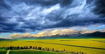 1596875872931492.jpg 微信圖片_20200729112847