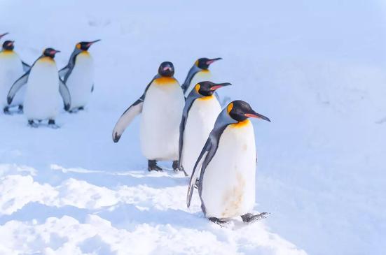 1624350084680535.jpg 1624350084680535.jpg