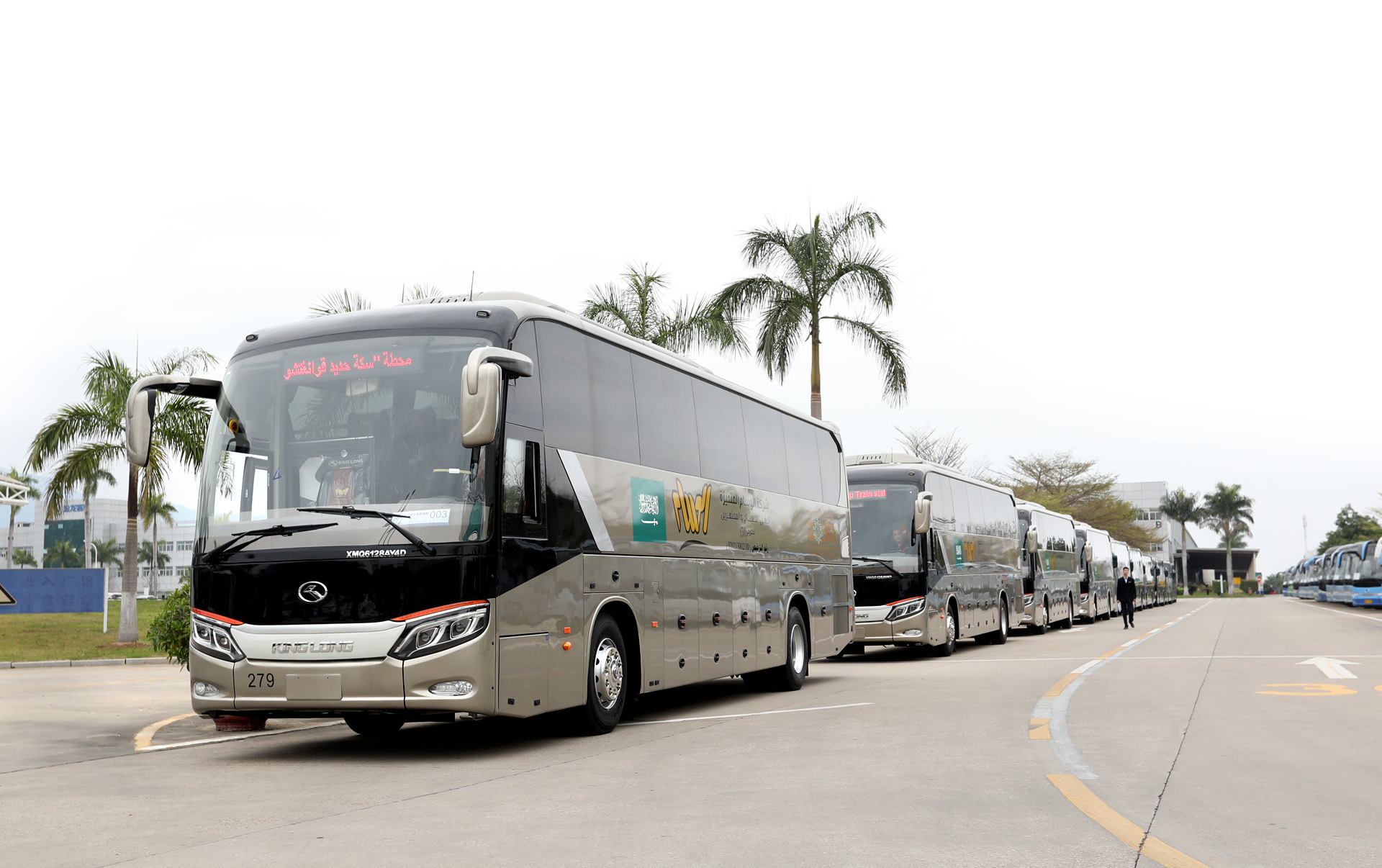 1564991398652568.jpg 990A8387.JPG