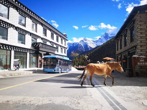 1605255365117718.jpg 微信圖片_20201103113525