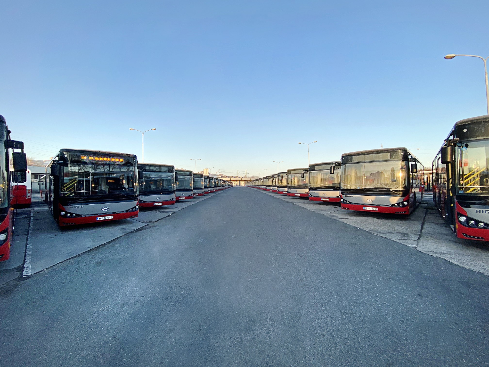 1589559514811566.jpg IMG_5023.JPG