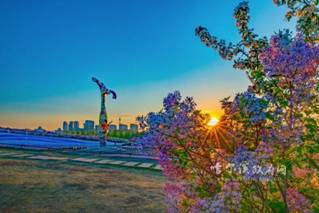 1588983171496988.jpg s_1912171553569689492