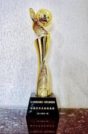 1550305695780321.jpg 優秀公益項目獎