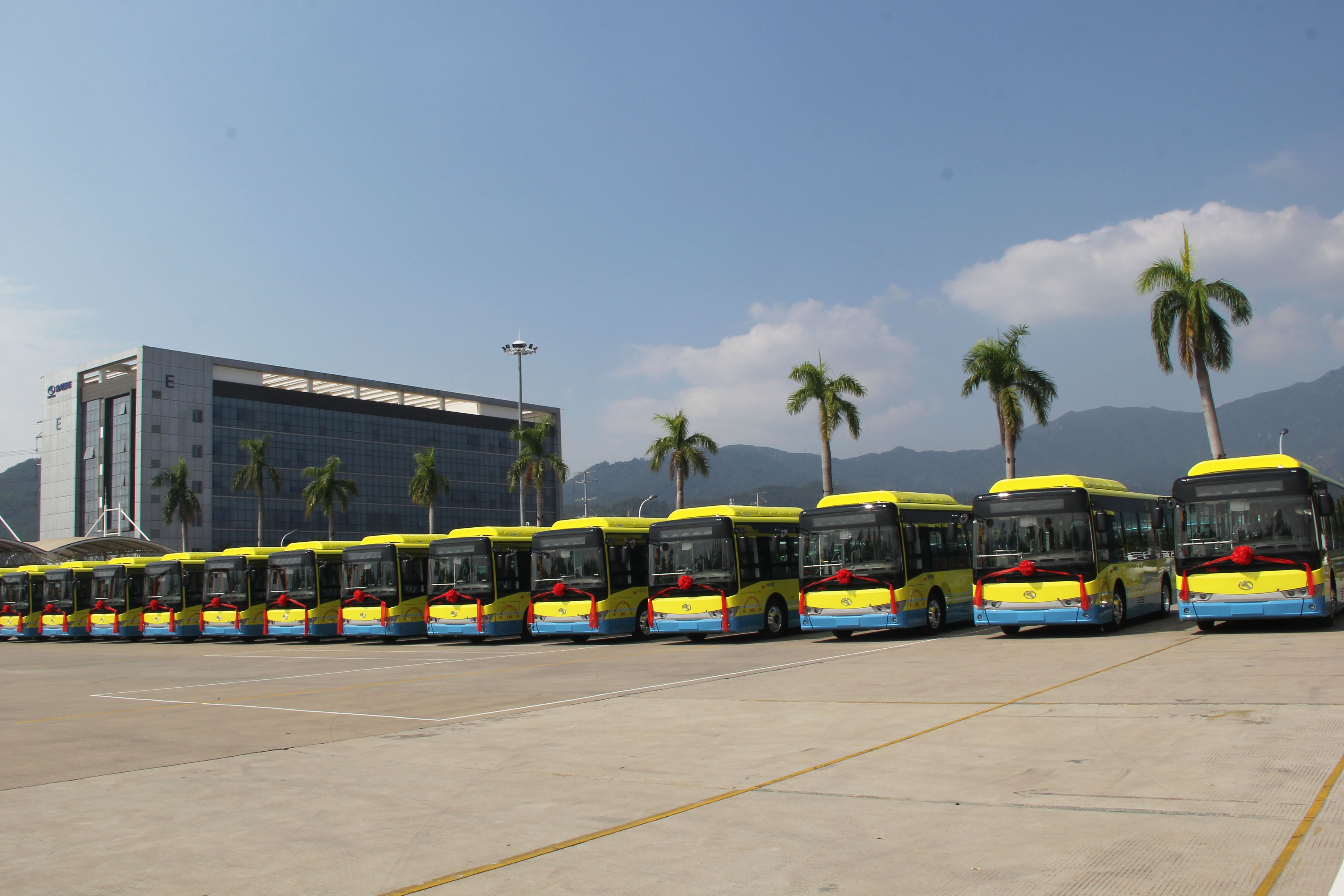 1578037149407866.jpg 楚雄公交.jpg