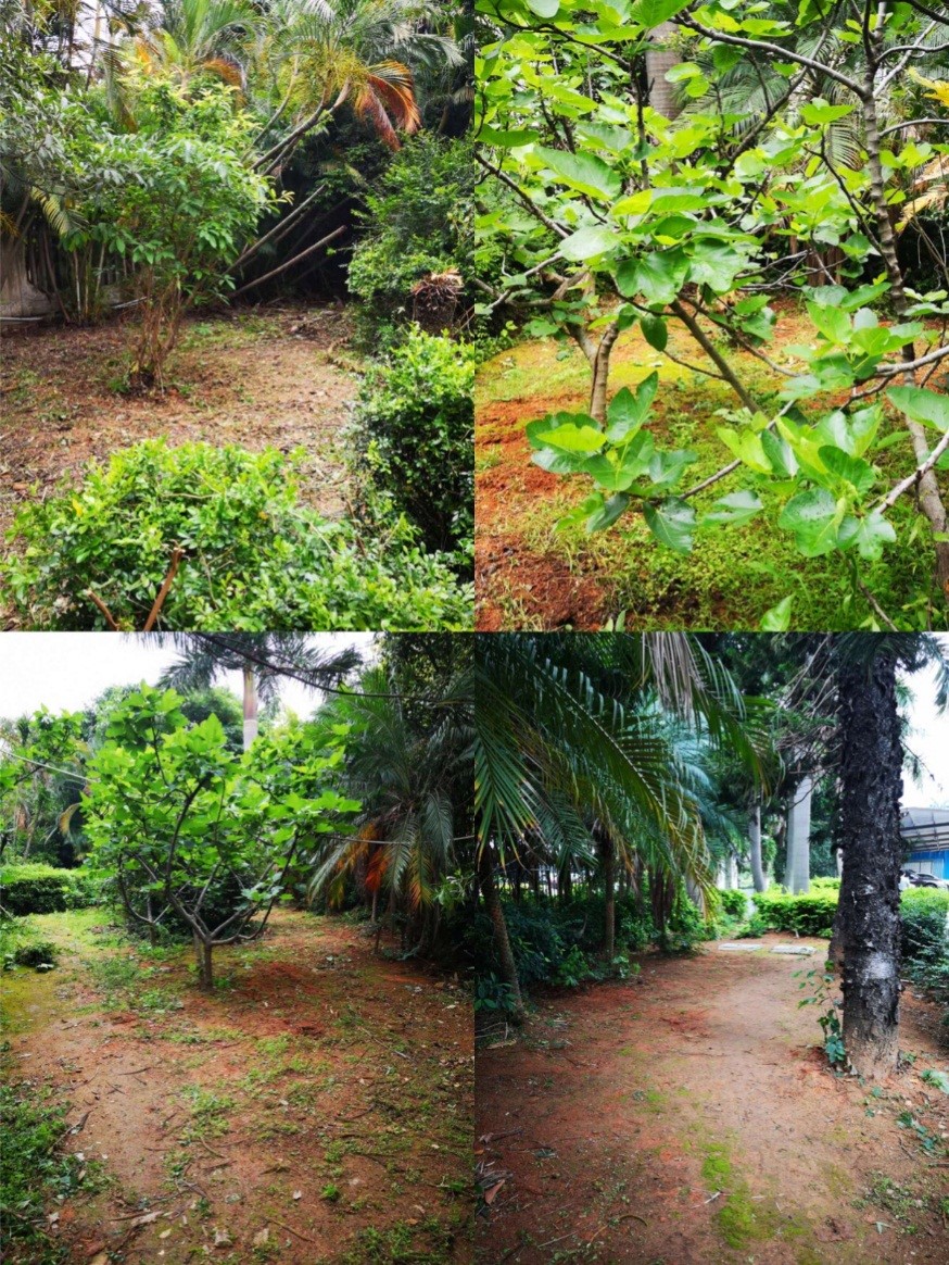 1556603203286252.jpg 2.jpg