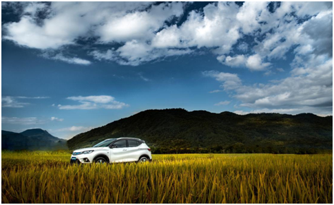 1551936019406576.png image.png