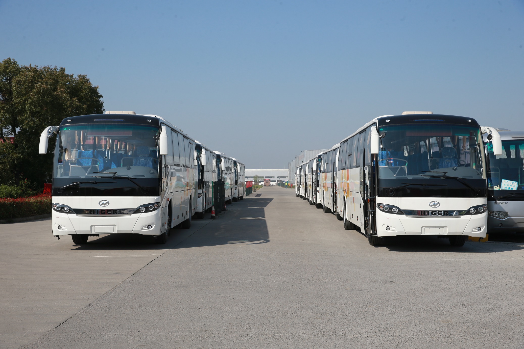 1585235387847511.jpg D14U2200.JPG