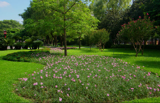 1682057268333002.png 1682057268333002.png