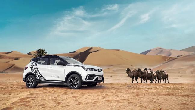 1621320676194895.jpg 1621320676194895.jpg