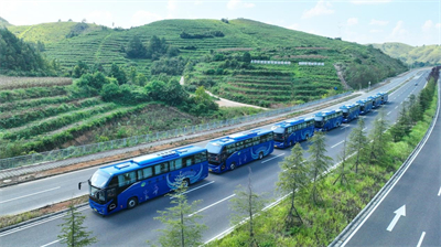 1731026697975781.jpg 2.jpg