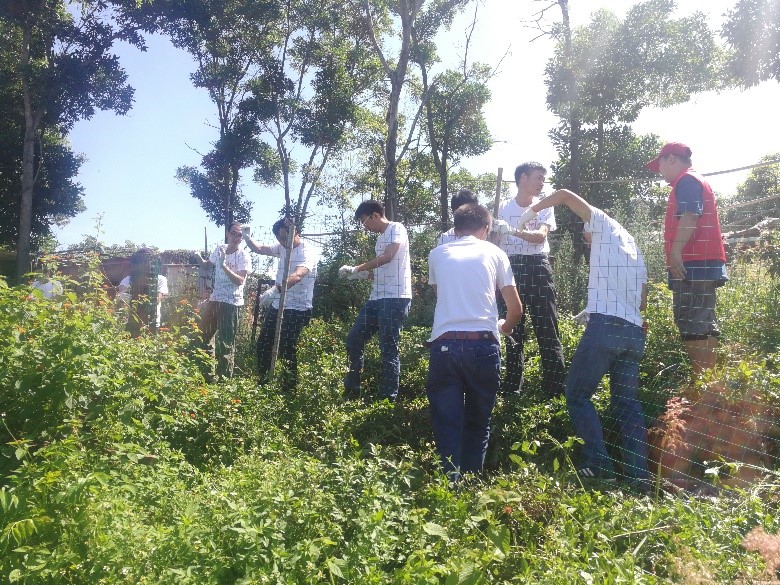 1531878092669013.jpg 3.jpg